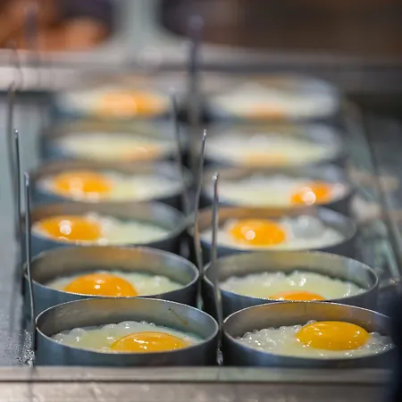 호텔 Electra Palace Rhodes 이알리소스